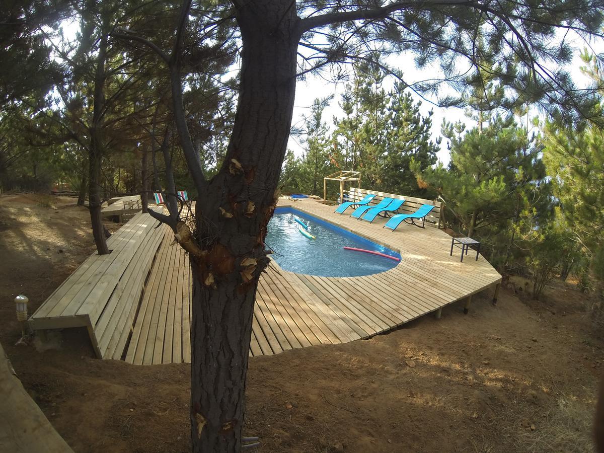 Lodge & Carilafquen *