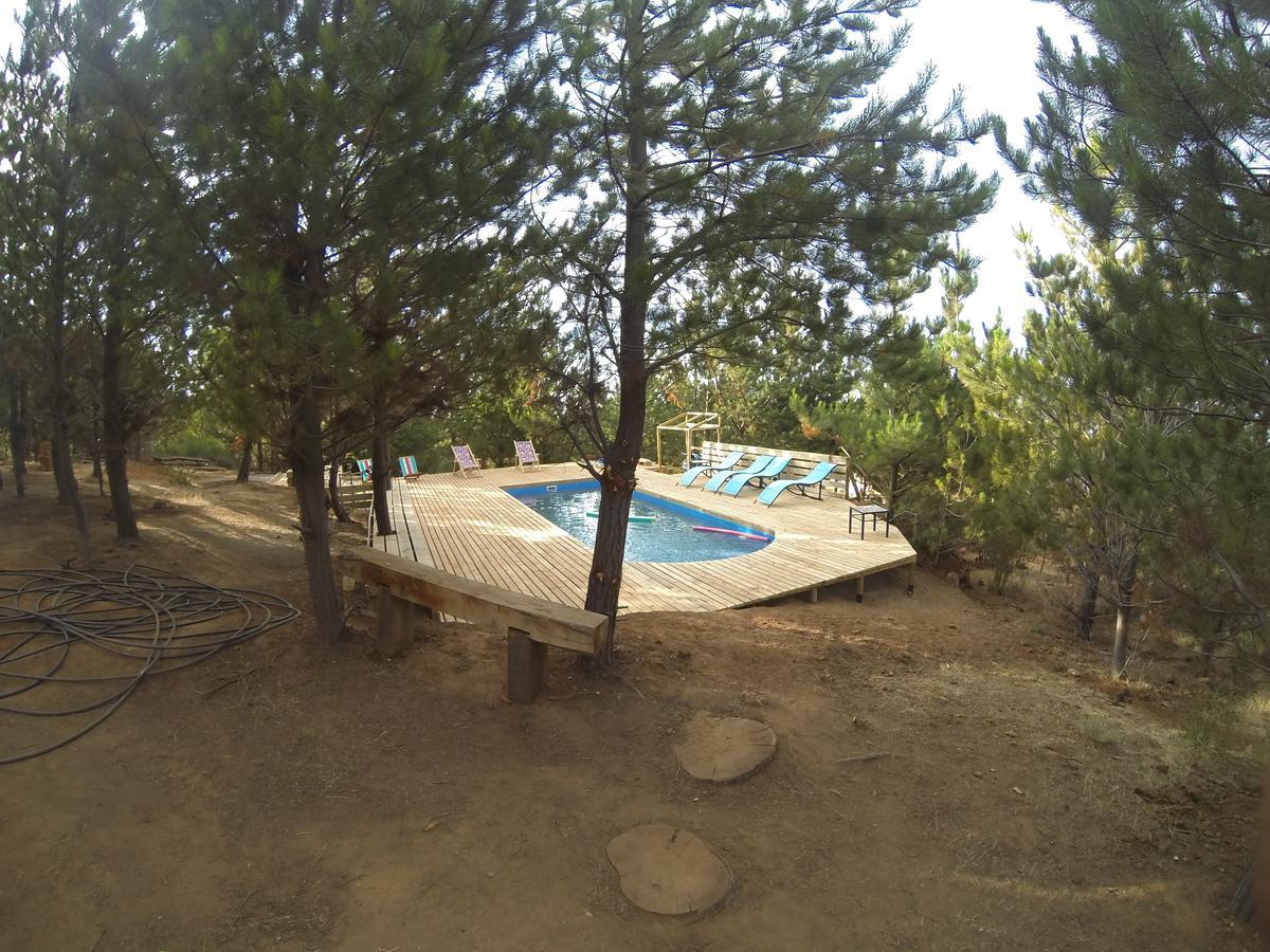 & Carilafquen Laguna Verde