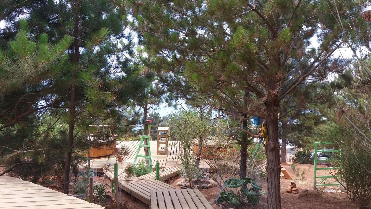 Lodge & Carilafquen